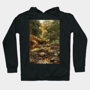 Quiet stream Hoodie